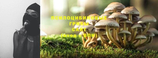дживик Вяземский