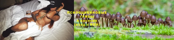 не бодяженный Вязники