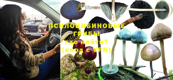 дживик Вяземский