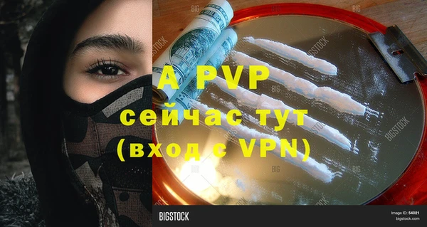 дживик Вяземский
