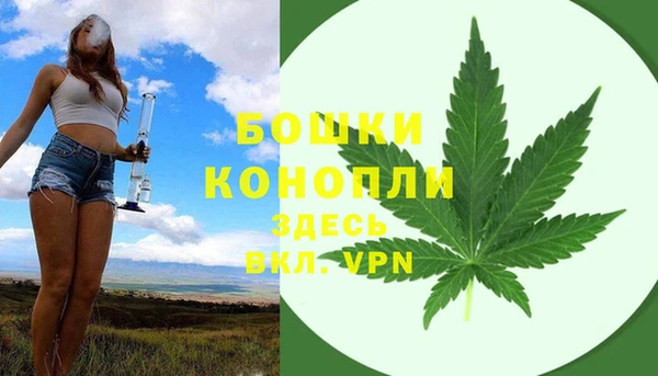 дурь Вязьма