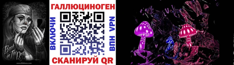 дарк нет как зайти  Абакан  Галлюциногенные грибы мицелий 