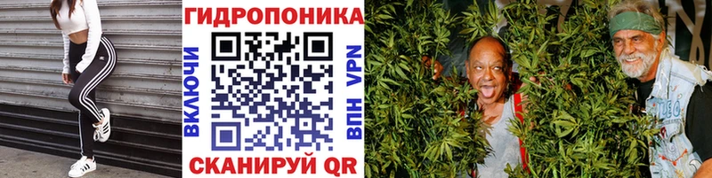 Каннабис конопля  Абакан 